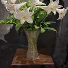 🪅🎄Merry Christmas🎄🪅