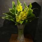 新緑の頃となりました☘️